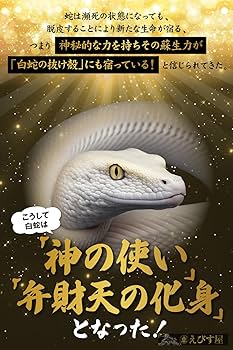 A宮古島一粒万倍日3粒オルゴ仕返し玉と金運蛇
